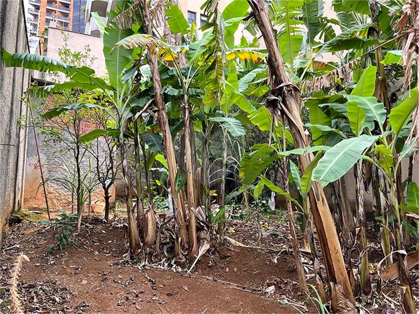 Terreno à venda em Santana, São Paulo, SP