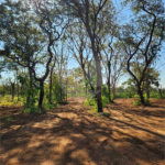 Terreno à venda em Jardim Residencial Iedda, Araraquara, SP