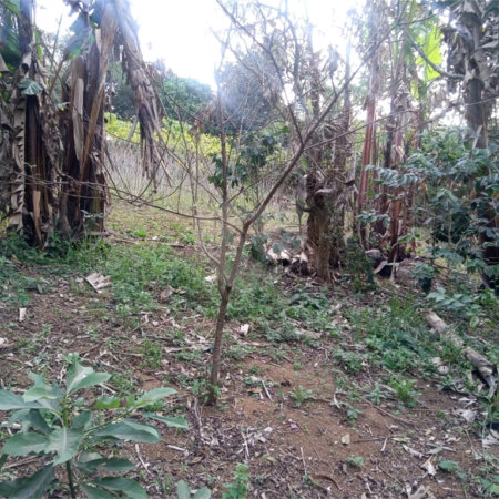 Terreno à venda no condomínio São Marcos, São Paulo - SP