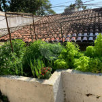Chácara à venda com 4 quartos, sendo 1 suíte,  em Parque Residencial Atibaia, Atibaia, SP