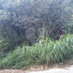 Terreno à venda no condomínio Sausalito, Mairiporã - SP