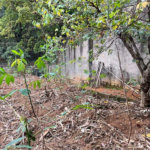Terreno à venda em Santana, São Paulo, SP