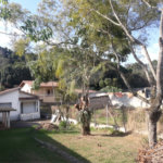 Terreno à venda em Vila Nova São Roque, São Roque, SP