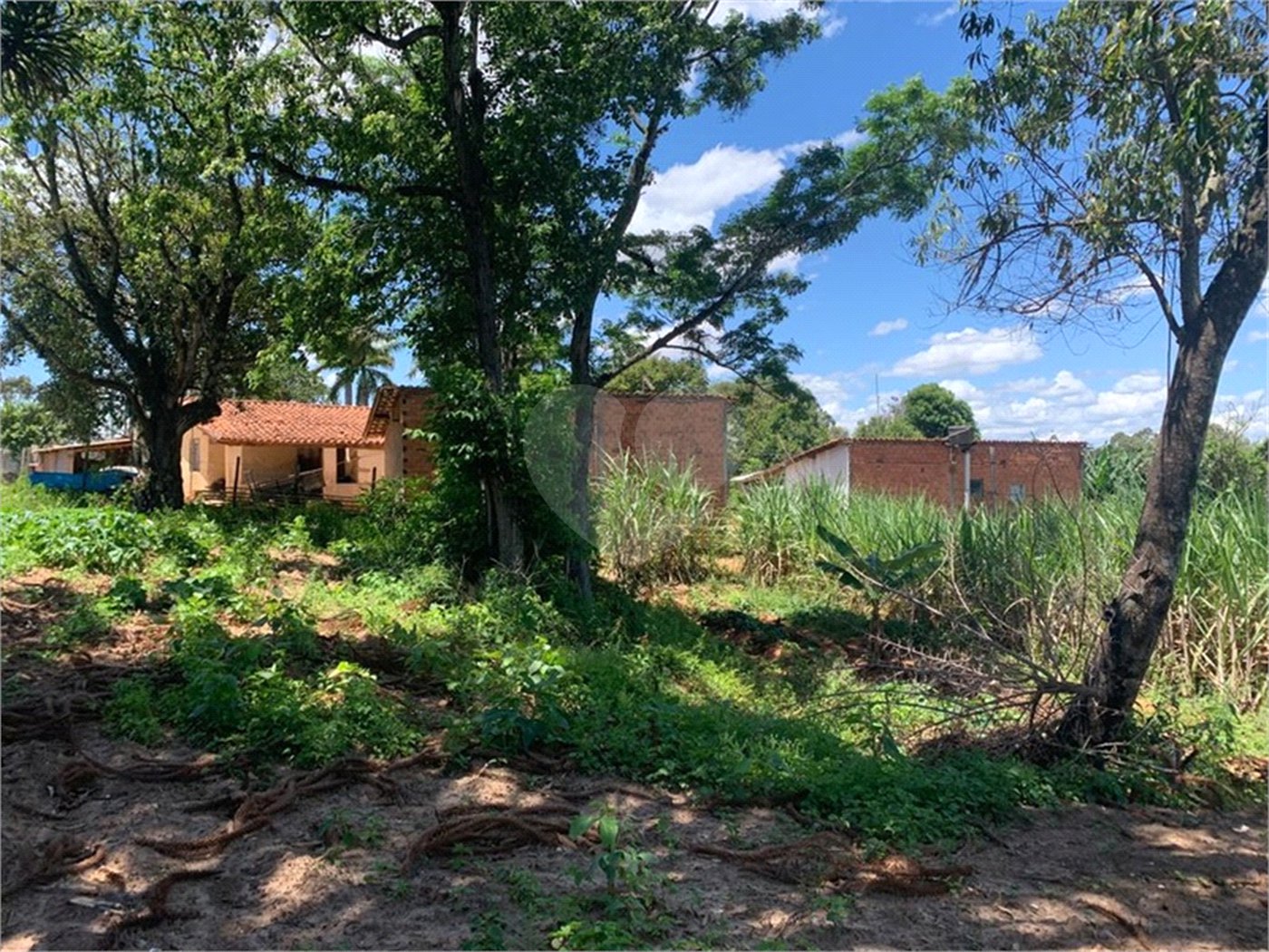 Área de Terra à venda em Cristóvão, Araçoiaba da Serra, SP