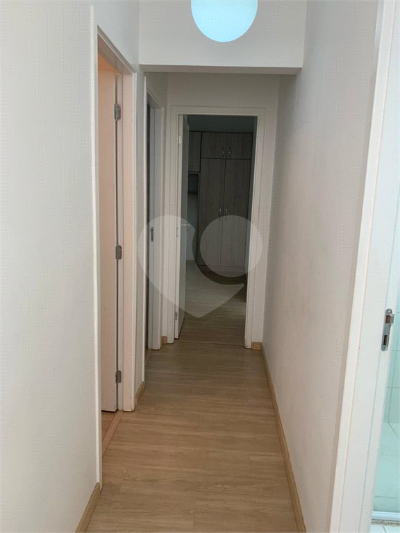 Apartamento para alugar com 3 quartos, sendo 1 suíte, em Condomínio Residencial Viva Vista, Sumaré, SP