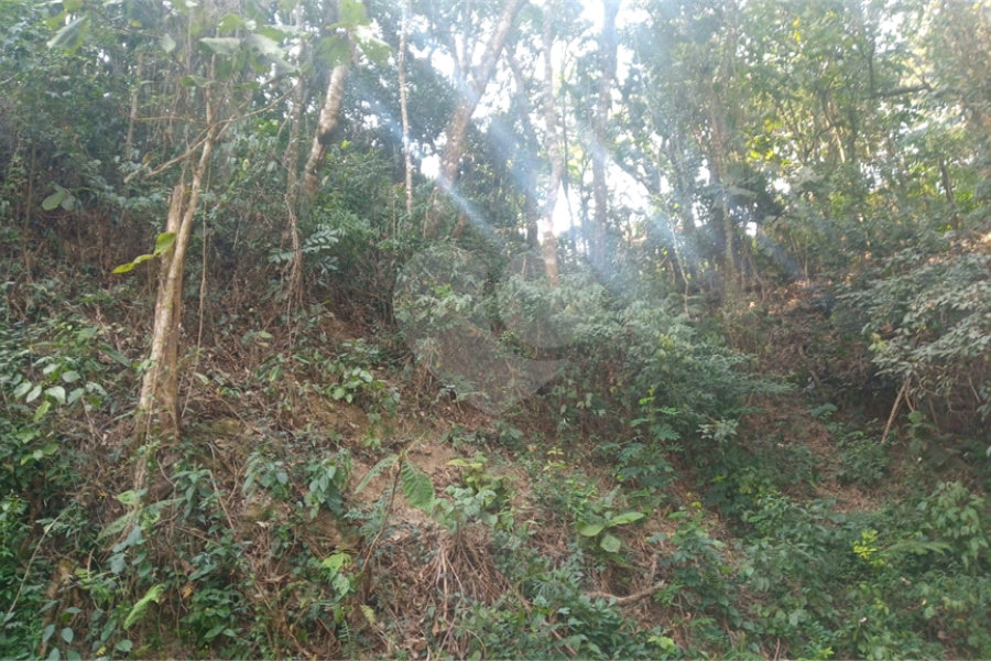 Terreno à venda em Serra da Cantareira, Mairiporã, SP