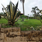 Chácara à venda com 4 quartos, sendo 3 suítes, em Ibiúna, Ibiúna, SP