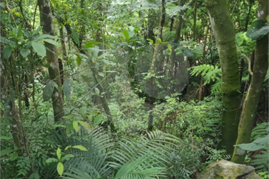 Terreno à venda no condomínio Sausalito, Mairiporã - SP