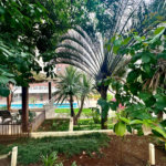 Apartamento à venda com 2 quartos, sendo 1 suíte, em Santana, São Paulo, SP