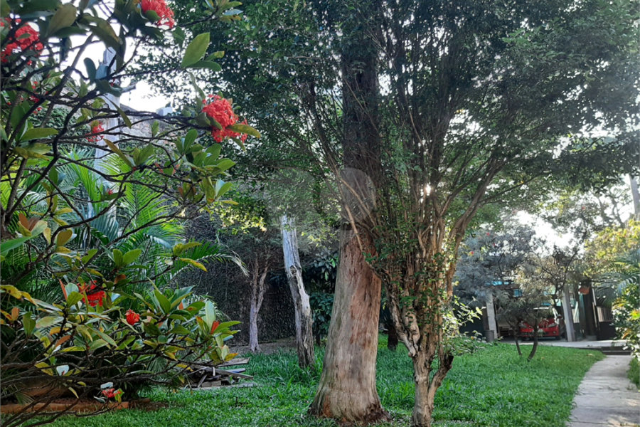 Casa Térrea à venda com 3 quartos em Horto Florestal, São Paulo, SP