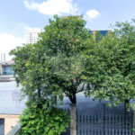 Casa à venda com 3 suítes em Vila Pereira Barreto, São Paulo, SP