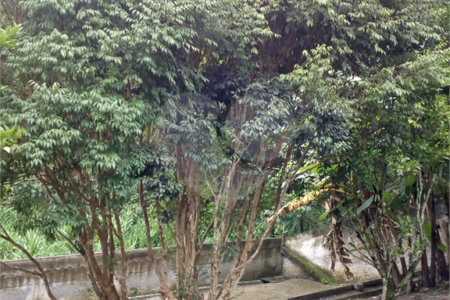 Chácara à venda com 3 quartos, sendo 1 suíte,  em Conjunto Habitacional Brás Cubas, Mogi das Cruzes, SP