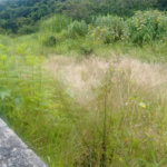 Loteamento à venda em Jardim Paulista, Atibaia, SP