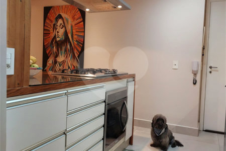 Apartamento à venda com 2 suítes em Vila Andrade, São Paulo, SP