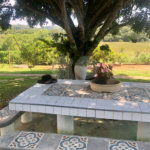 Chácara para alugar com 4 quartos, sendo 2 suítes,  no Centro (canguera), São Roque, SP