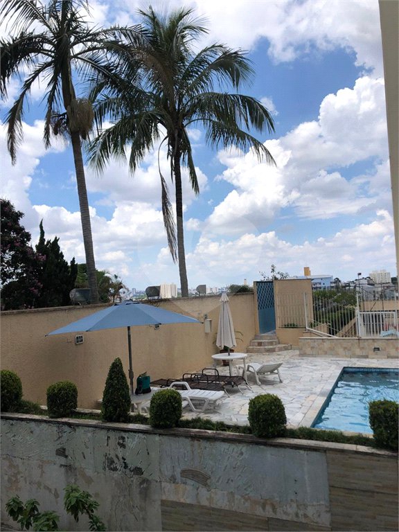 Apartamento para alugar com 3 quartos em Tucuruvi, São Paulo, SP