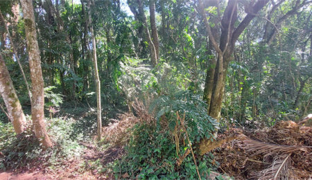 Terreno à venda no condomínio Sausalito, Mairiporã - SP