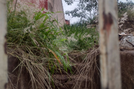 Terreno com 421 m², localizado no centro de São Carlos