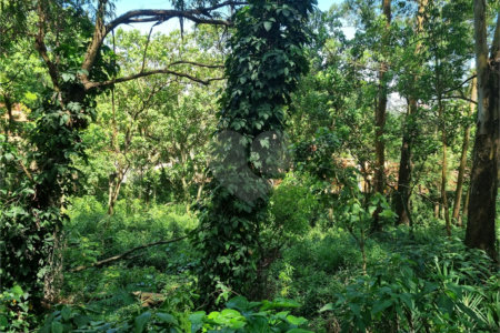Terreno à venda no condomínio Horto do Ypê, São Paulo - SP