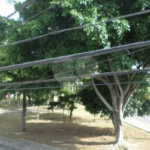 Casa à venda com 5 quartos, sendo 3 suítes,  em Parque Edu Chaves, São Paulo, SP