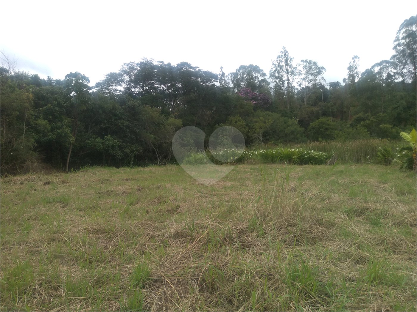 Terreno à venda em Cézar de Souza, Mogi das Cruzes, SP