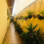 Casa Térrea à venda com 3 quartos, sendo 1 suíte, em Jardim Brasil (zona Norte), São Paulo, SP