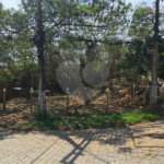 Terreno à venda em Albatroz, Armação dos Búzios, RJ