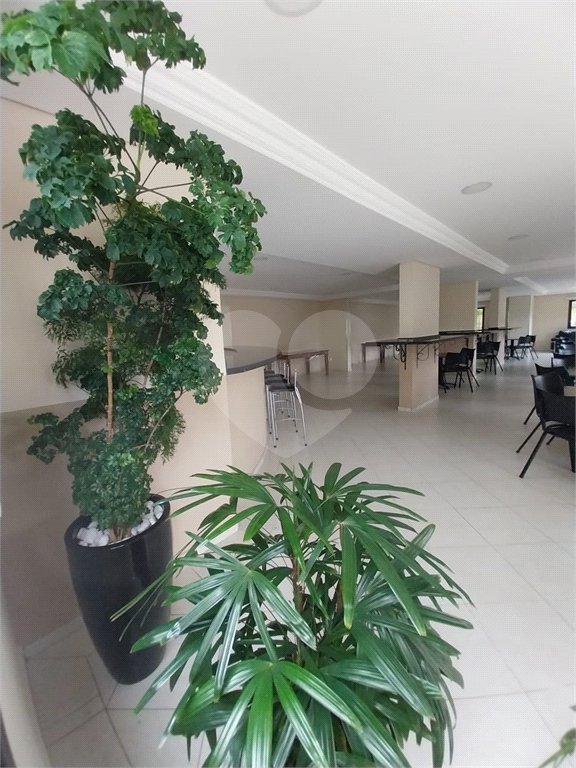 Apartamento à venda com 3 quartos, sendo 2 suítes,  em Vila Gilda, Santo André, SP