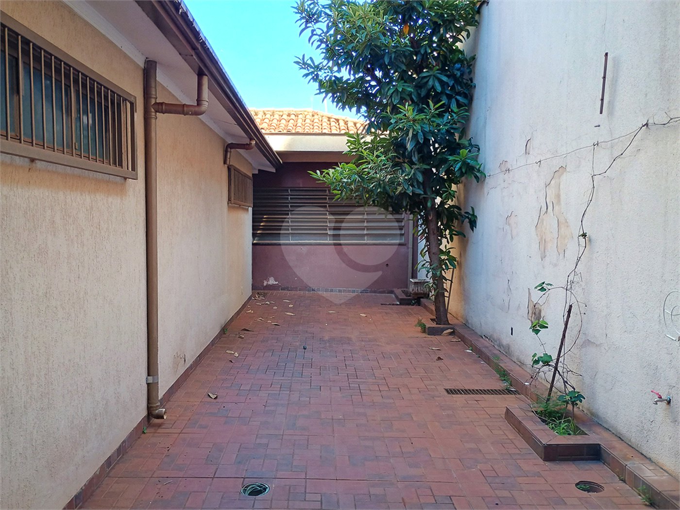 Casa para alugar com 1 quarto, sendo 2 suítes, no Centro, Ribeirão Preto, SP