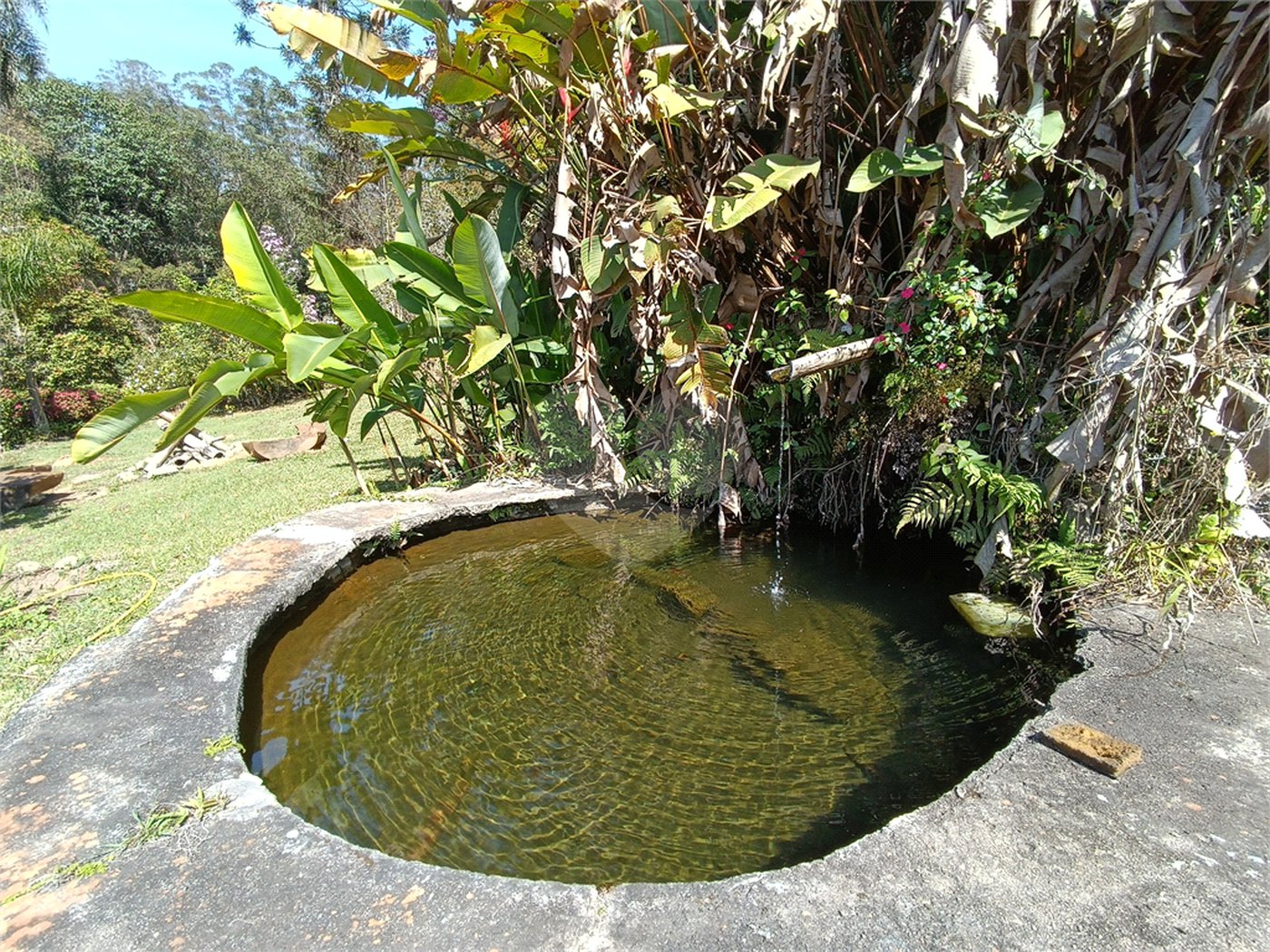 Chácara à venda com 4 quartos em Jardim Cardoso (mailasqui), São Roque, SP