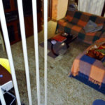 Casa à venda com 3 quartos em Jardim Bonfiglioli, São Paulo, SP
