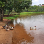 Terreno à venda no condomínio Alto da Boa Vista Cravinhos, Cravinhos - SP