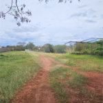 Terreno para alugar em Vila Áurea, Ponta Porã, MS