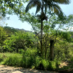 Casa à venda no condomínio Residencial Cerros Verdes, Mairiporã - SP