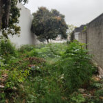 Terreno à venda em Vila Constança, São Paulo, SP