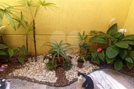 Sobrado à venda com 3 suítes em Vila Mazzei, São Paulo, SP