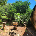 Terreno à venda em Vila Harmonia, Araraquara, SP