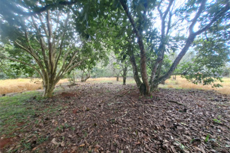 Terreno à venda em Portal da Figueira, Itapetininga, SP