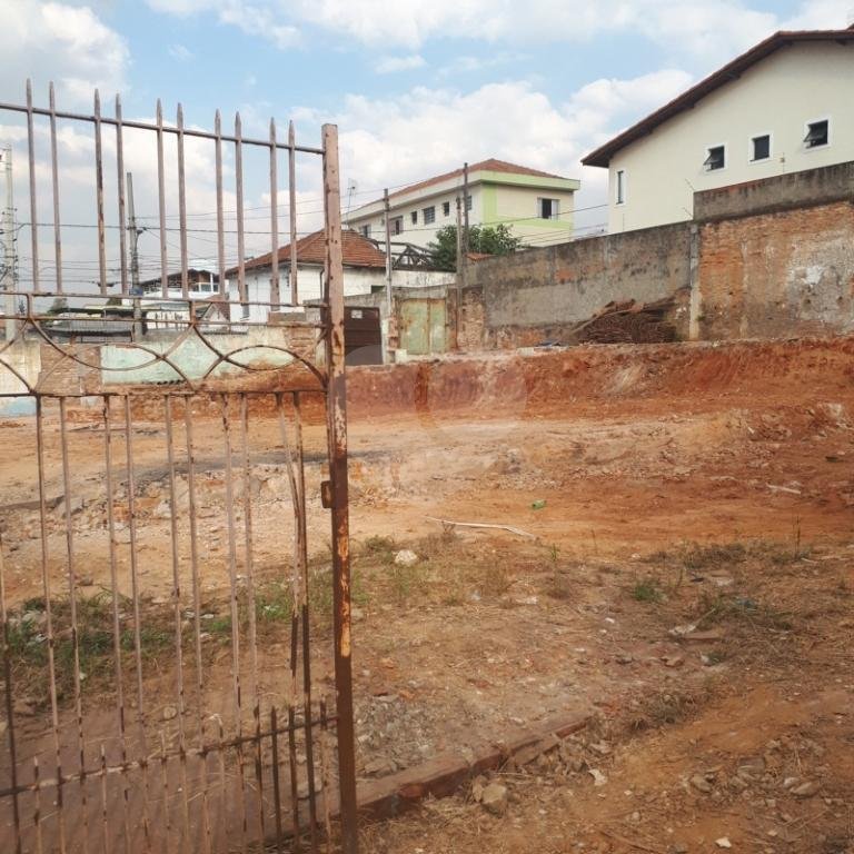 Terreno para alugar em Tucuruvi, São Paulo, SP