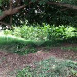 Terreno à venda em Imirim, São Paulo, SP