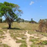 Terreno à venda em Área Rural de Mairiporã, Mairiporã, SP