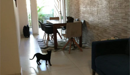 Sobrado à venda com 3 quartos, sendo 1 suíte,  em Vila Ipojuca, São Paulo, SP
