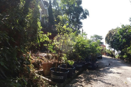 Terreno à venda em Tucuruvi, São Paulo, SP