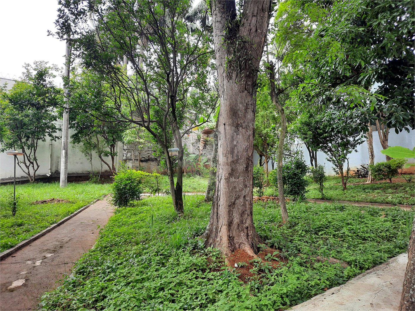 Sobrado à venda com 4 quartos em Brooklin Velho, São Paulo, SP