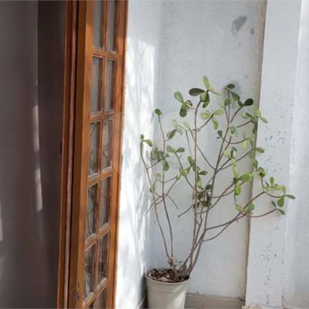 Casa à venda com 3 quartos, sendo 1 suíte,  em Jardim Valéria, Guarulhos, SP