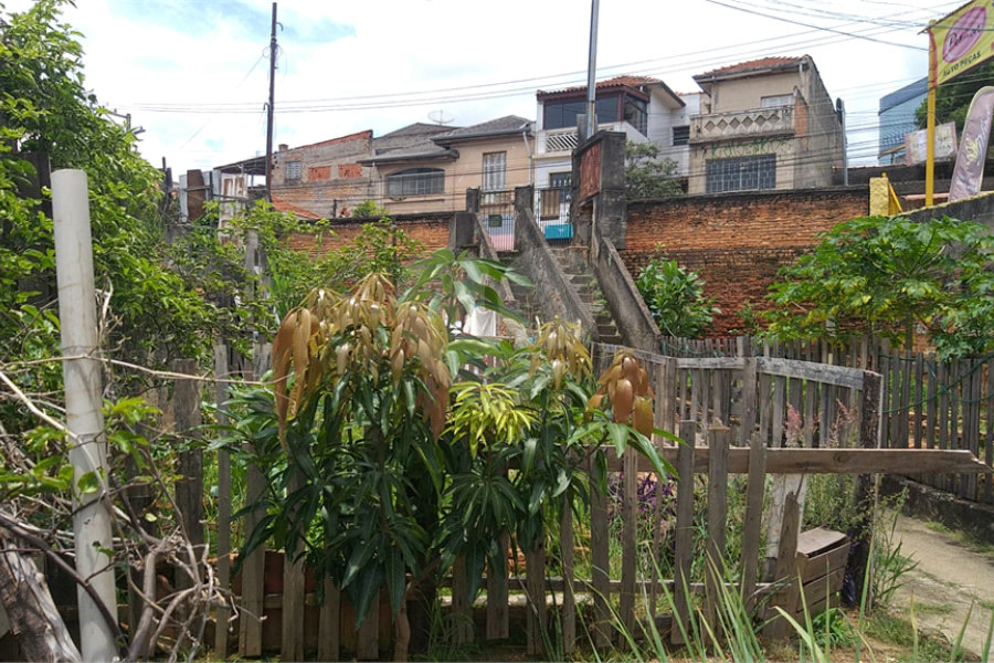 Casa Térrea à venda com 3 quartos em Casa Verde, São Paulo, SP