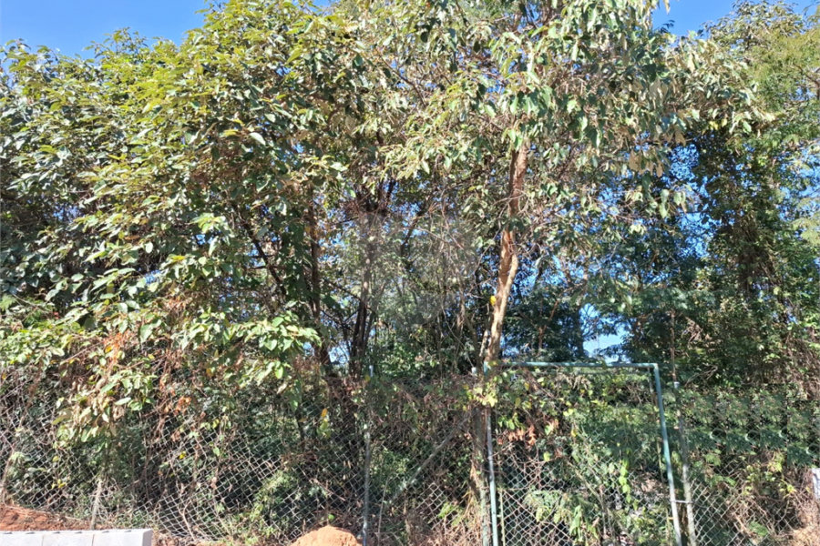 Terreno à venda em Jardim Peri, São Paulo, SP
