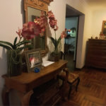 Casa à venda com 3 quartos, sendo 2 suítes,  em Morumbi, São Paulo, SP