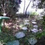 Sobrado à venda com 5 quartos, sendo 4 suítes,  em Vila Guilherme, São Paulo, SP