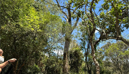 Terreno à venda no condomínio Alpes da Cantareira, Mairiporã - SP